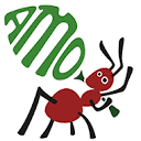 amotranslations.com logo