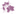 amp-international.com logo