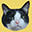 ampsuwan.com logo