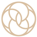amreaestheticswellness.com logo