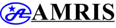 amrisconsulting.com logo