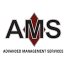 amsconsulting.com logo