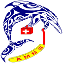 amss82.com logo
