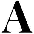 amundsenlegalconsulting.com logo