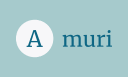 amuri-consulting.com logo