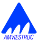 amviestrucsas.com logo