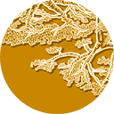 amyread.co.uk logo