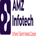 amzinfotech.com logo