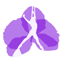 ana-prada.com logo