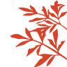 anaaragonarte.com logo