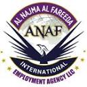 anafiea.com logo