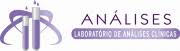 analiseslab.com.br logo