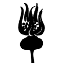 anatomiefleur.com logo