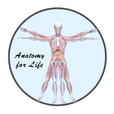 anatomymind.com logo