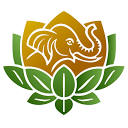 anaveda.com logo