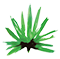 anawasal.lk logo