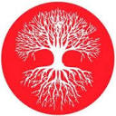 anaya.nl logo