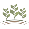 anchoragsolutions.com logo