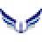 anchordefence.com logo