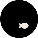 anchovy.studio logo