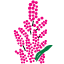 andeandream.com logo