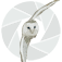 andrewbennettwildlifephotography.co.uk logo
