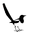 andrewvincentphotography.com logo