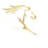 androf.ca logo