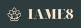 andromedaexpress.com logo