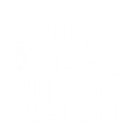 aneesachaudhry.com logo