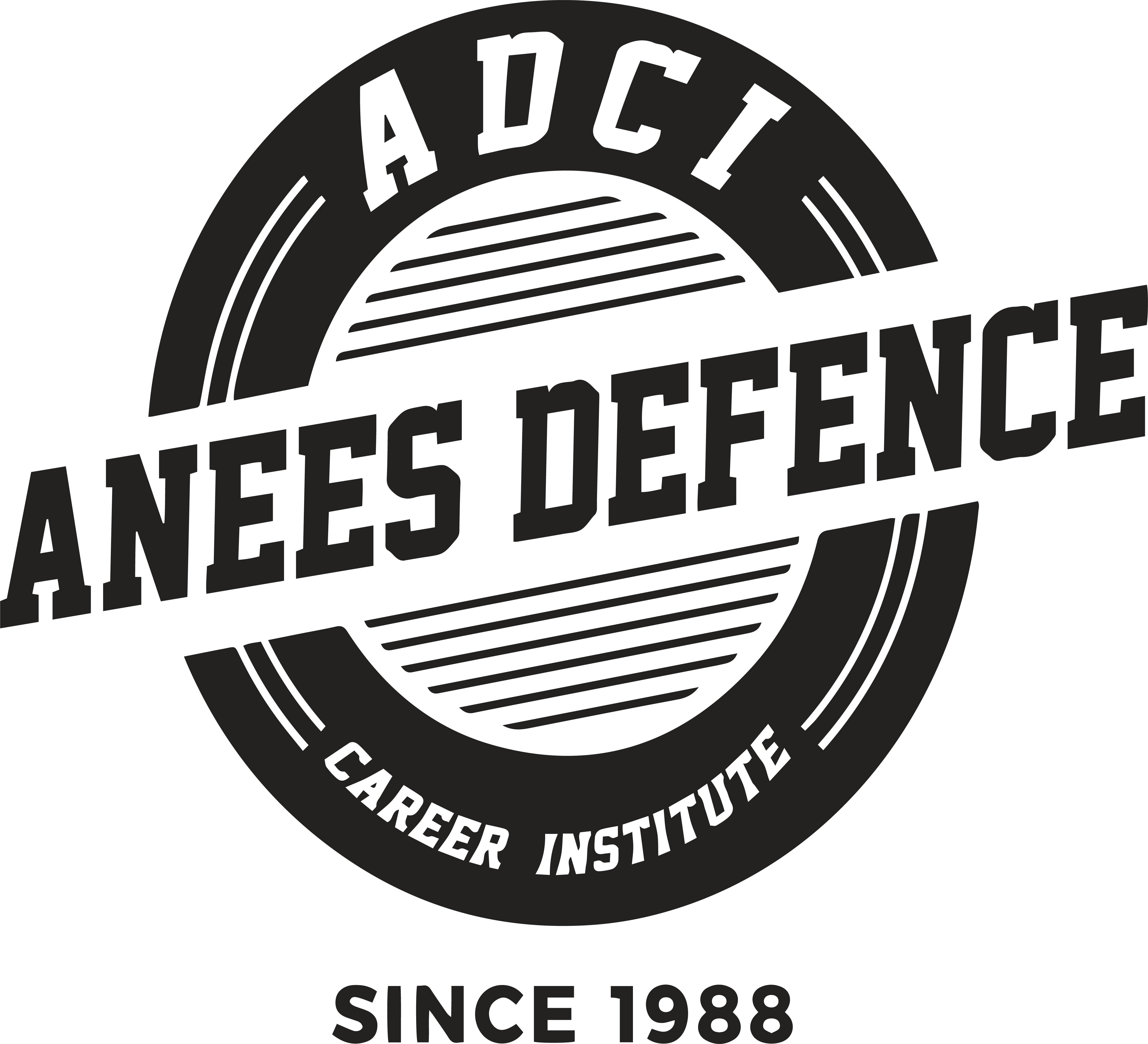 aneesclasses.org logo