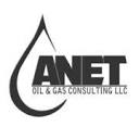 anetconsulting.com logo