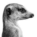 anettemossbacher.com logo