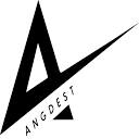 angdest.com logo