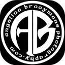 angelinabrooymansphotography.com logo