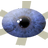 angelinamusik.com logo