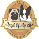 angelofmylife.com.br logo