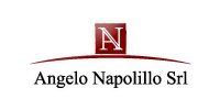 angelonapolillo.it logo