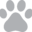 angelveterinary.com logo
