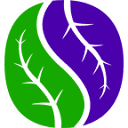 angioprimplus.com logo