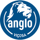 anglovicosa.com.br logo