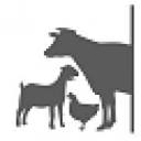 anicarebiogene.com logo