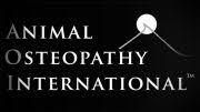 animalosteopathyinternational.com logo