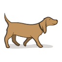 animalprive.fr logo