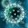 anintroductiontoinfectiousdiseasemodelling.com logo