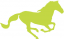 anivado.com logo