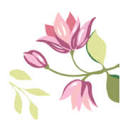 annachristinebridal.com logo