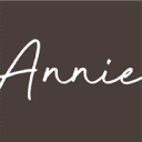 anniericcicoach.com logo