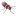 anobium.es logo