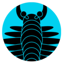 anocaris.com logo